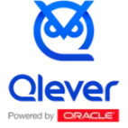 Qlever logotipo