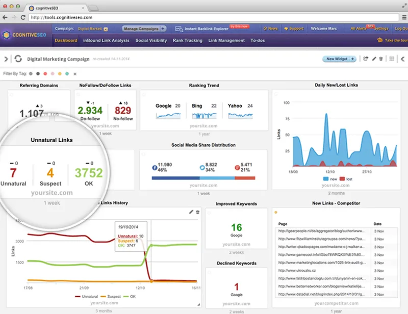 cognitiveSEO