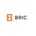 Bric Gestión de Proyectos