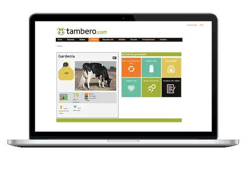 Tambero.com