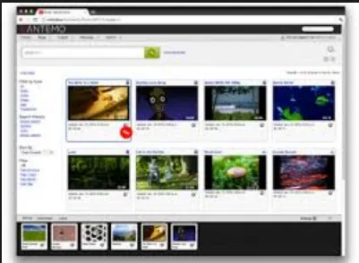 Mediabox-DAM Software
