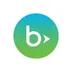 Blackbaud Luminate Online