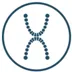 XDental