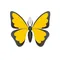 Ulysses Writing App