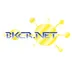 Bkcr Punto de Venta