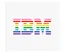 IBM Risk Analytics