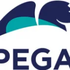 Pega Platform Costarica