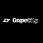 Grapecity Inc Costa Rica