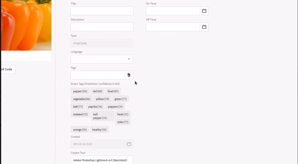 Adobe Experience Manager